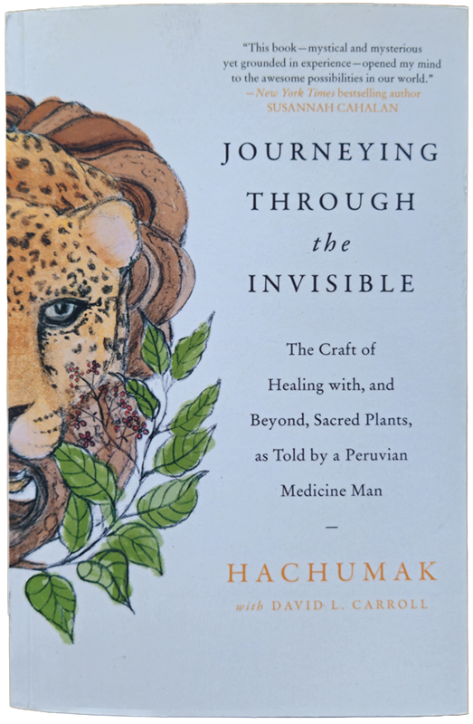 Journeying Through the Invisible